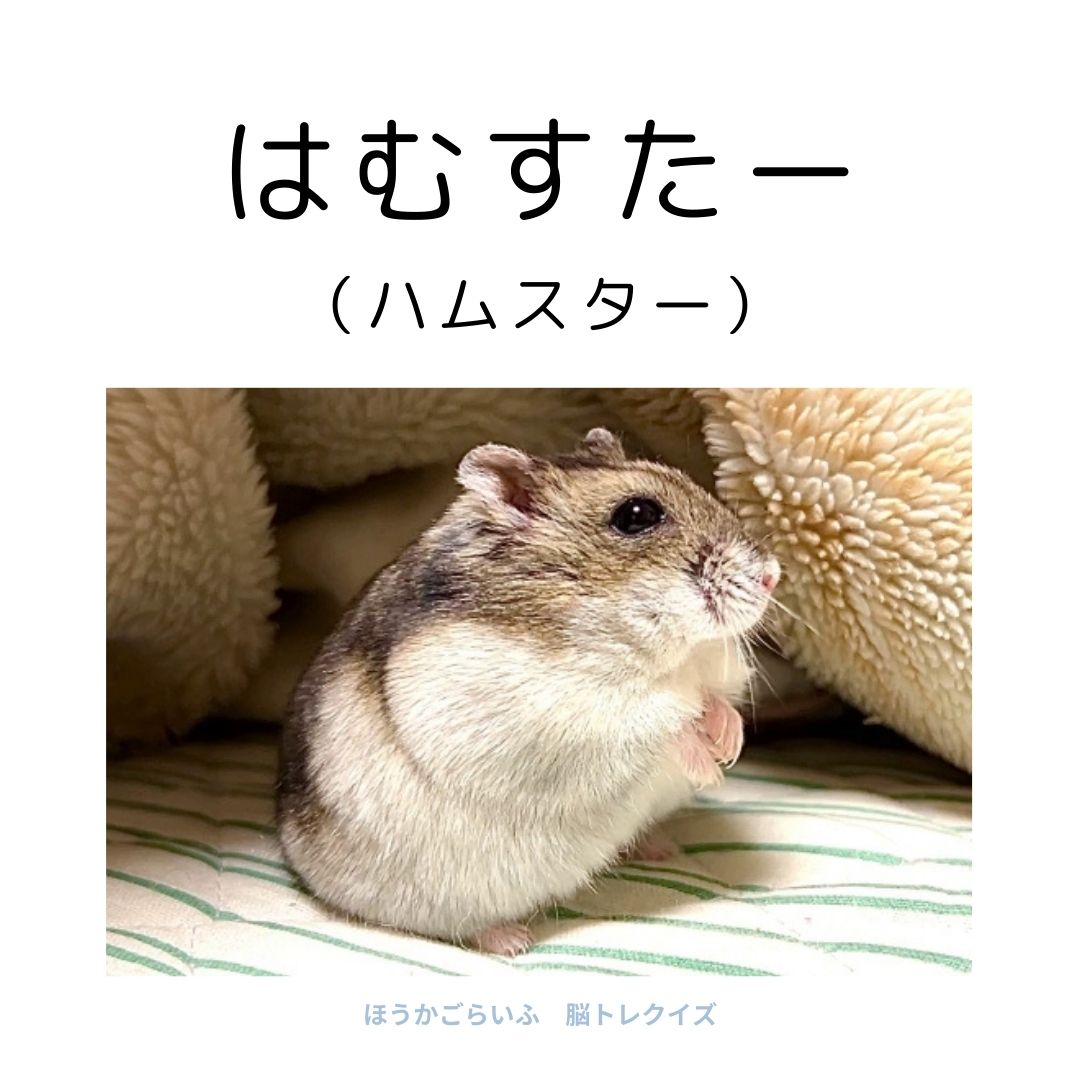 高齢者向け（無料）言葉の並び替えで脳トレしよう！文字（ひらがな）を並び替える簡単なゲーム【動物の名前】健康寿命を延ばす鍵